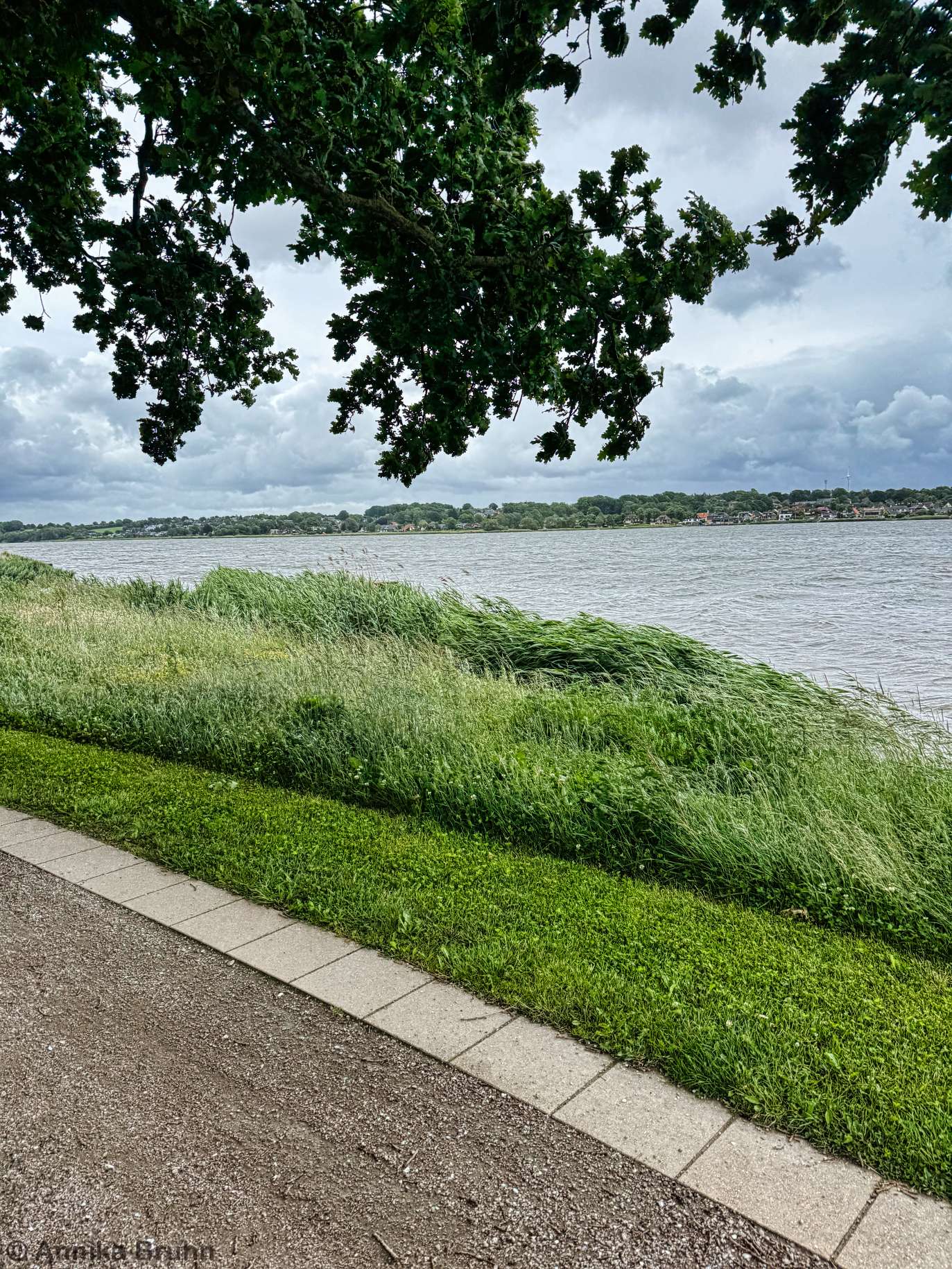 Ganz schön windig hier an der Schlei